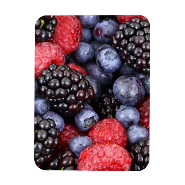 Magnet Flexible Baies de fruits d'été (Vertical)