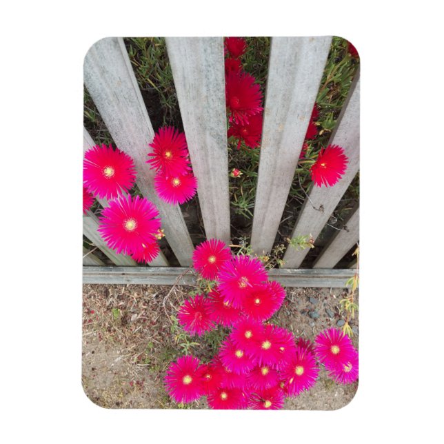 Magnet Flexible Baisées roses magnétiques (Vertical)
