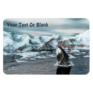 Magnet Flexible Baleine boréale