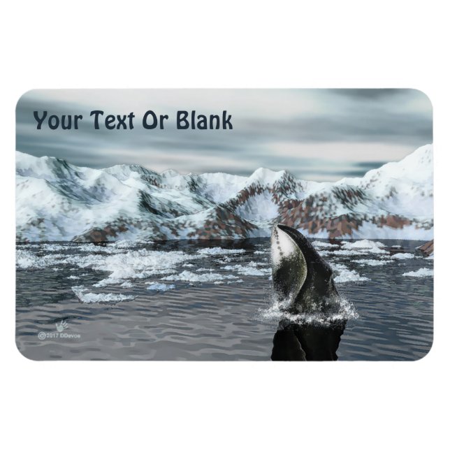 Magnet Flexible Baleine boréale (Horizontal)