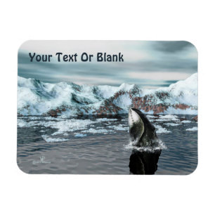 Magnet Flexible Baleine boréale