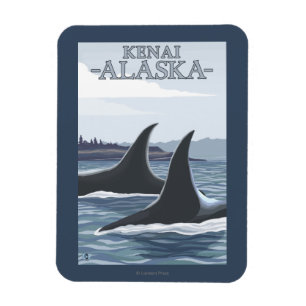Magnet Flexible Baleines #1 - Kenai, Alaska d'orque