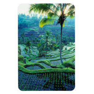 Magnet Flexible Bali Vue d'ensemble des rizières