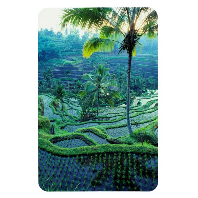 Magnet Flexible Bali | Vue d'ensemble des rizières (Vertical)