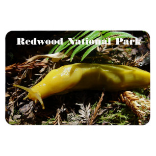 Magnet Flexible Banana Slug