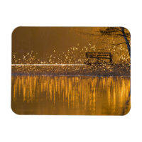 Banc solitaire au bord du lac à la lumière dorée