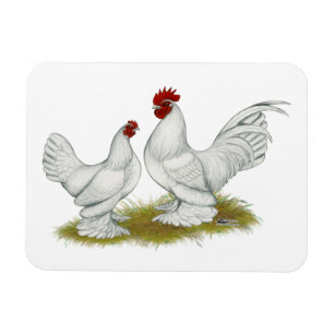 Magnet Flexible Bantams ancrés