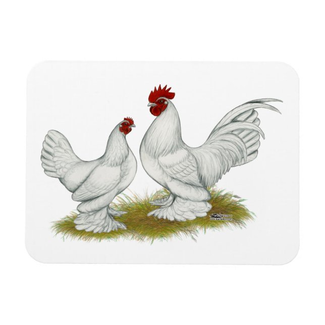 Magnet Flexible Bantams ancrés (Horizontal)