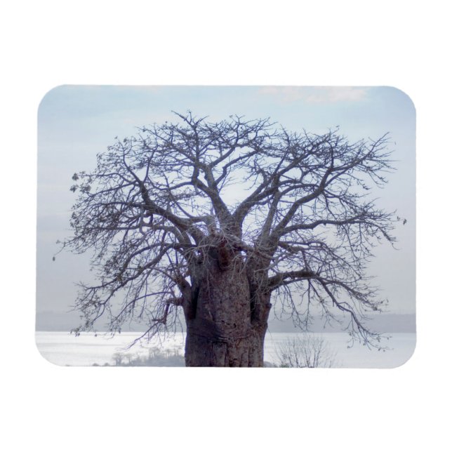 Magnet Flexible Baobab (Adansonia Digitata), Luanda (Horizontal)