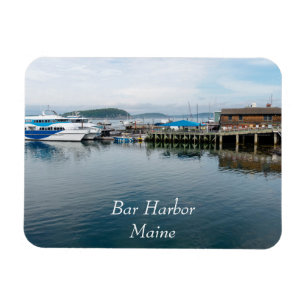 Magnet Flexible Bar Harbor water