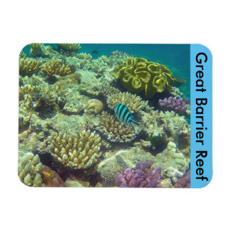 Magnet Flexible barrière de corail