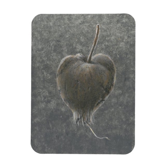 Magnet Flexible Barringtonia Acutangula 2 (Vertical)