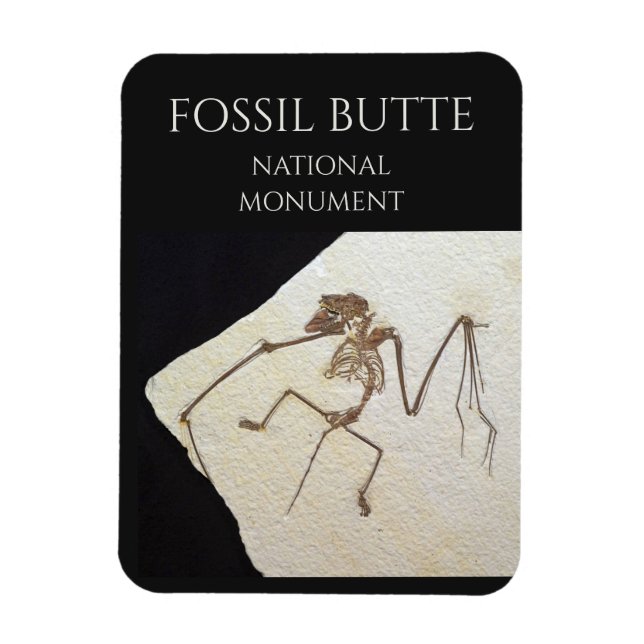 Magnet Flexible Bat Fossil, le monument national de Fossil Butte (Vertical)