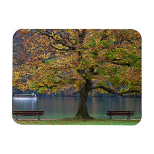 Magnet Flexible Bateau sur un lac en automne, Allemagne