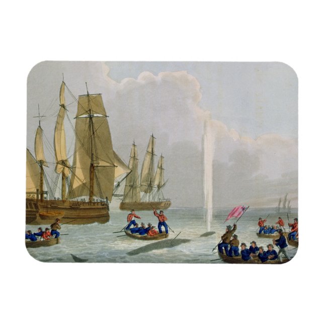 Magnet Flexible Bateaux approchant une baleine, gravée par Matthew (Horizontal)