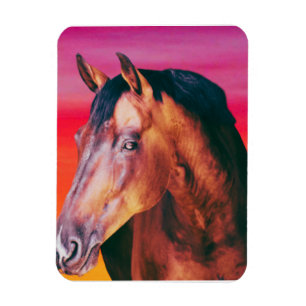 Magnet Flexible Bay Horse Dégradé