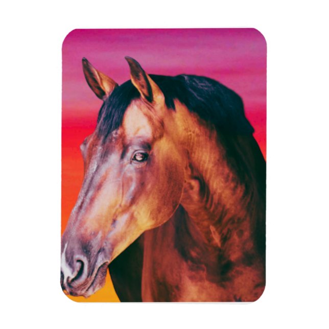 Magnet Flexible Bay Horse Dégradé    (Vertical)
