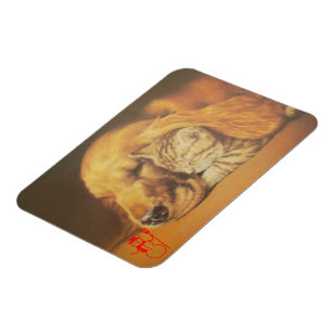 Magnet Flexible Beau art Extraordinaire de chats et de chats de ch