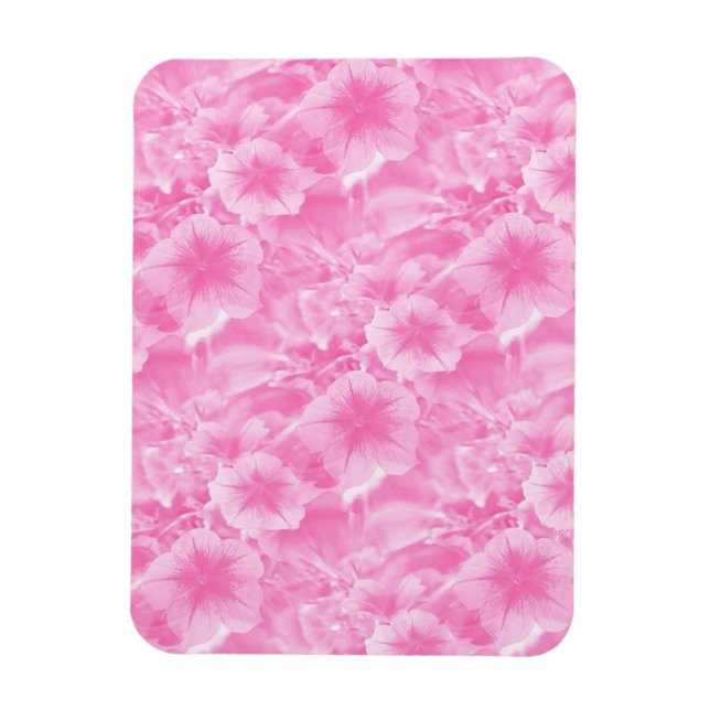 Magnet Flexible Beau en rose.. (Vertical)