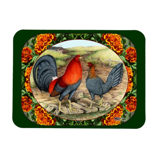 Magnet Flexible Beau Volailles de Combat (Horizontal)