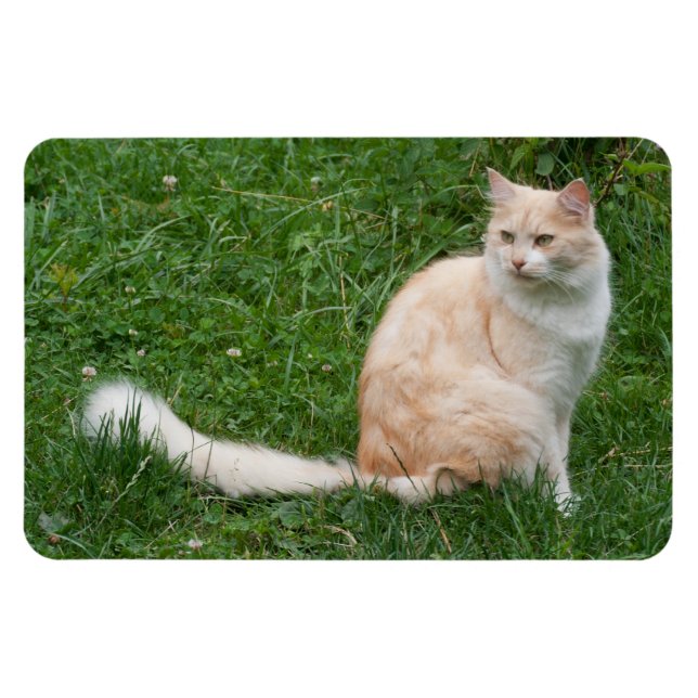 Magnet Flexible Beauté rouge clair (Horizontal)