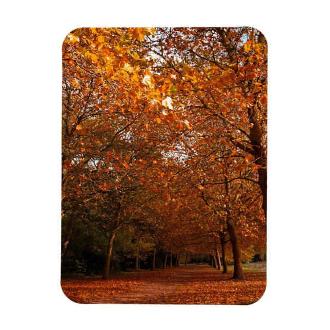 Magnet Flexible Beaux arbres d'automne (Vertical)
