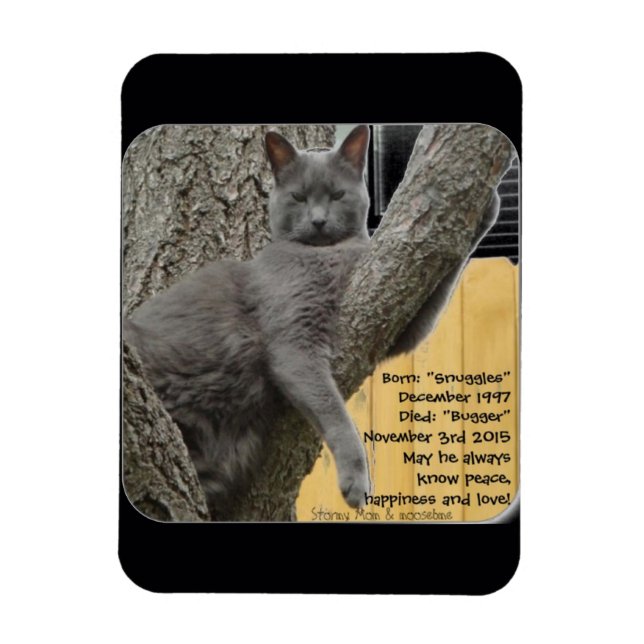 Magnet Flexible Bébé Bugger 1997 à 2015 (Vertical)