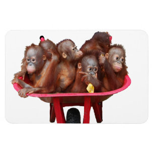 Magnet Flexible Bébé doux Visage Baril de singes