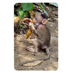 Magnet Flexible Bébé singe