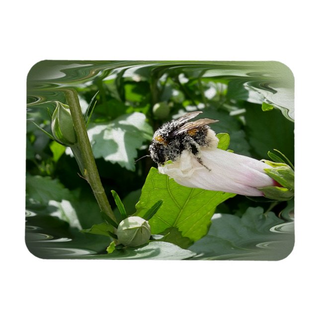Magnet Flexible Bee in summer (Horizontal)