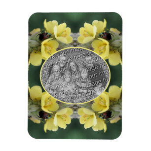 Magnet Flexible Beetle sur Wild Mullein Flower Ajoutez votre photo