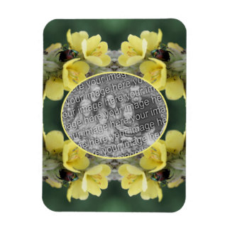 Magnet Flexible Beetle sur Wild Mullein Flower Ajoutez votre photo