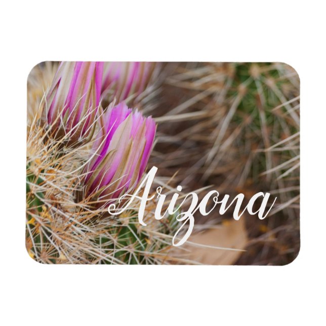 Magnet Flexible Before the blooms, Arizona (Horizontal)