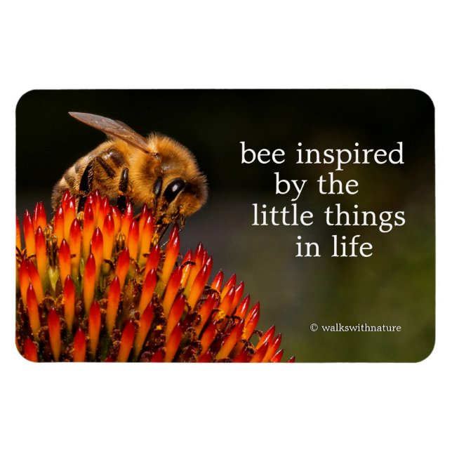 Magnet Flexible Belle abeille de miel pollinisant un confleur (Horizontal)