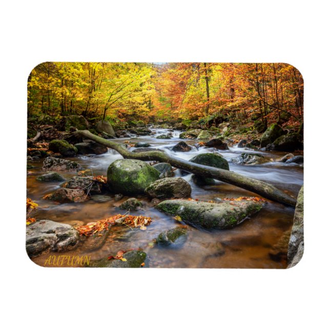 Magnet Flexible Belle forêt d'automne (Horizontal)