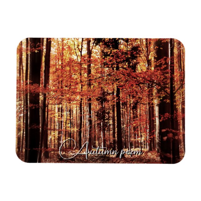 Magnet Flexible Belle forêt d'automne (Horizontal)