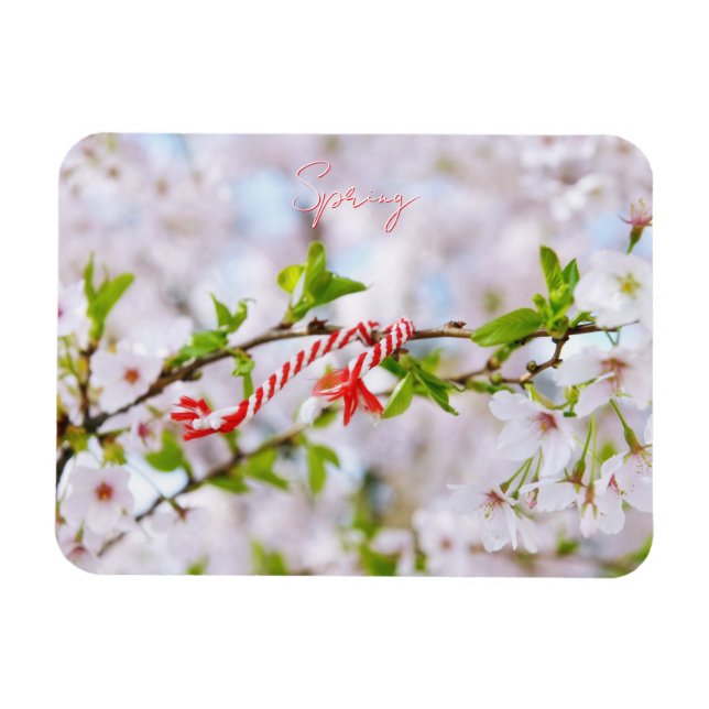 Magnet Flexible Belle salutation de printemps (Horizontal)