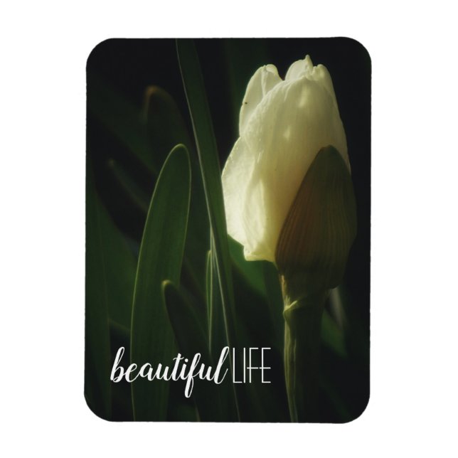 Magnet Flexible Belle vie dire Daffodil photo (Vertical)