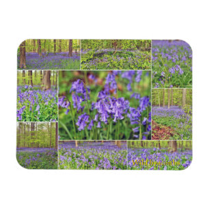 Magnet Flexible Belles clochettes bleues en forêt 