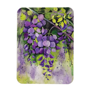 Magnet Flexible Belles Fleurs De Wisteria En Aquarelle