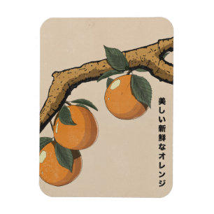 Magnet Flexible Belles oranges fraîches