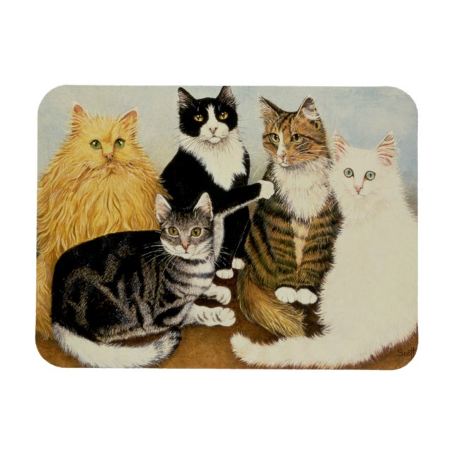 Magnet Flexible Berceau de chat (Horizontal)