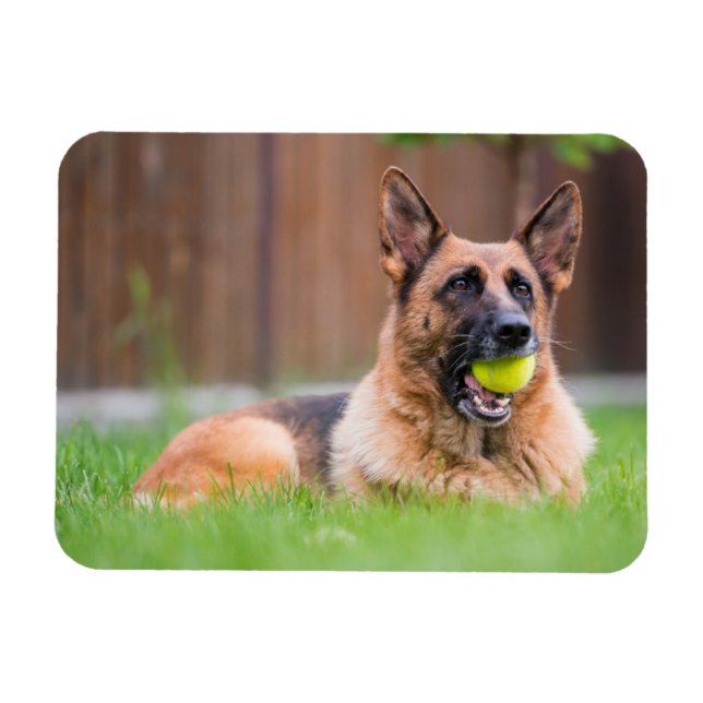 Magnet Flexible Berger Allemand Avec Bal De Tennis (Horizontal)