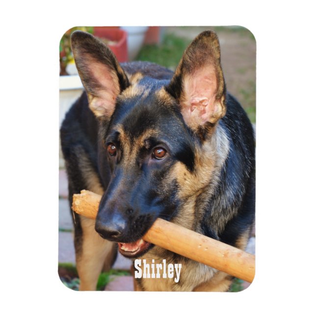 Magnet Flexible berger allemand par Shirley Taylor (Vertical)