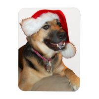 Berger allemand portant un Casquette du Père Noël