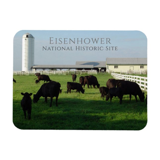 Magnet Flexible Bétail Angus, Ferme Eisenhower, Gettysburg (Horizontal)