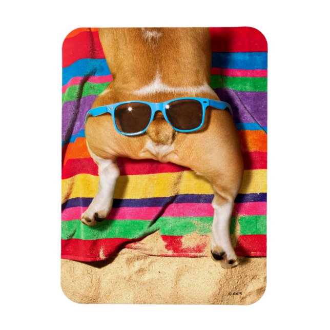Magnet Flexible Beurre de chien avec lunettes de soleil (Vertical)