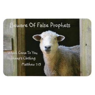 Magnet Flexible Beware Of False Prophets