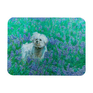 Magnet Flexible Bichon Frise