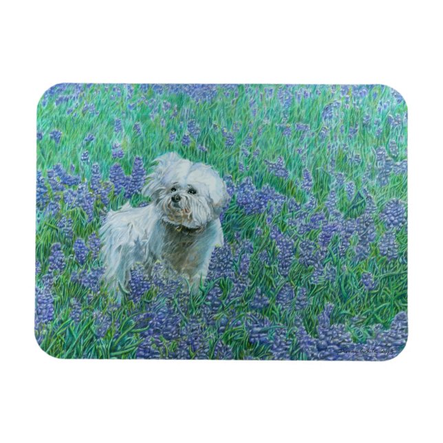Magnet Flexible Bichon Frise (Horizontal)